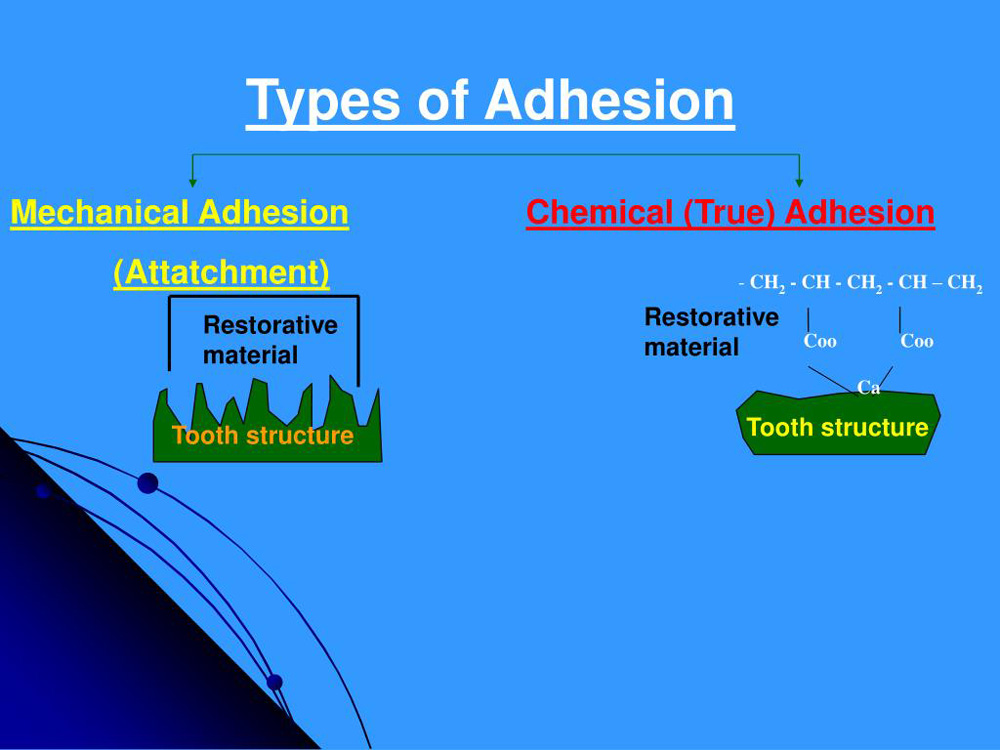  کلمه ادهیژن (Adhesion)